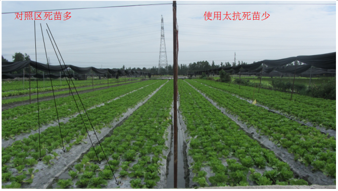 1513332077681353uzNC.png blob.png