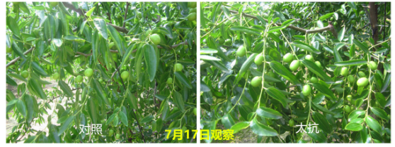 1513334045119079gkV5.png blob.png