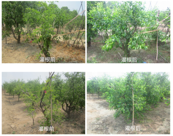 15133340695307779mzW.png blob.png