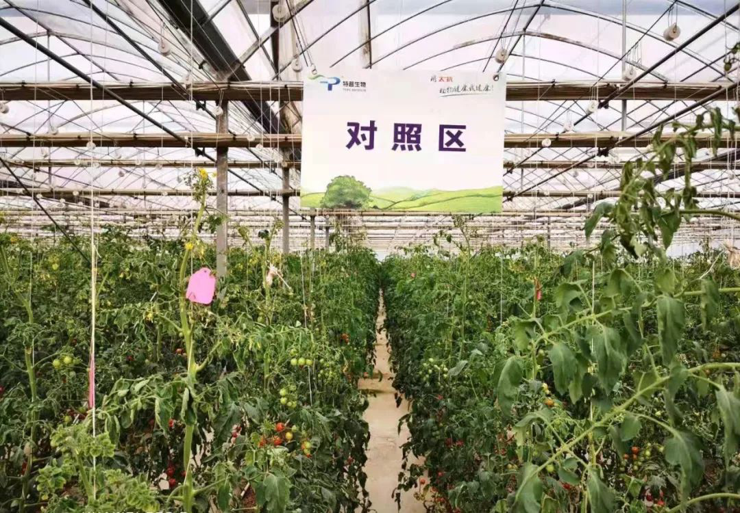 15724246817598870wVx.png 圖片5.png