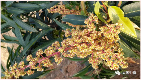 1587375335455542Ehjj.png image.png