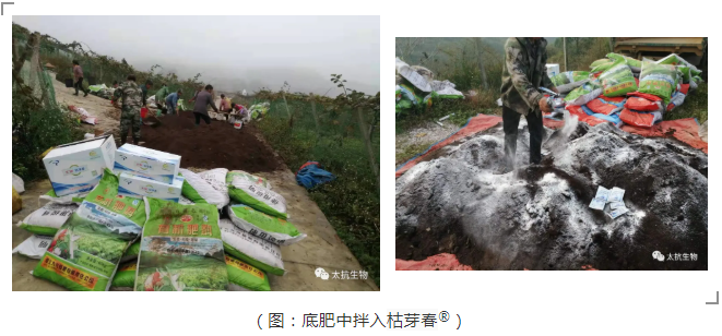 1639374007450921IQvw.png 微信截圖_20211213134853.png